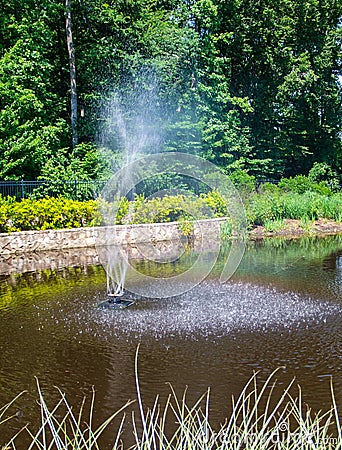Water Fountain at Gateway Gardens in Greensboro, North Carolina Editorial Stock Photo