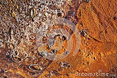 Water frozen on orange soil Stock Photo