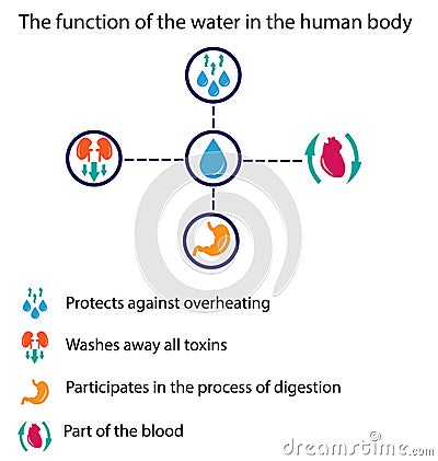 Water Vector Illustration