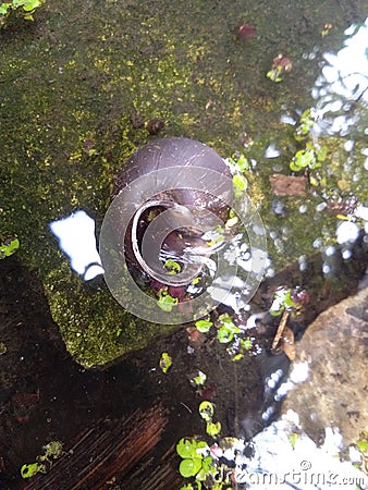 Water goes blackhole shell Stock Photo