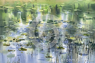 Water grass with reflections on a pond watercolor background Stock Photo