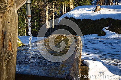 water gushes from a well in the forest, incredible winter fairy image, winter picture, running clear water on the hill Stock Photo