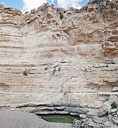 Water hole in Judaean Desert, israel Stock Photo