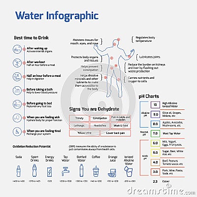 Water Infographics - importance of water, best time to drink, Ph charts. Vector Illustration