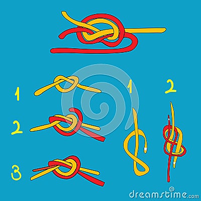 Water knot, figure eight knot, overhand knot Vector Illustration