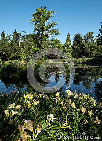 The lake at the Leckford Estate, Longstock, Hampshire UK Stock Photo