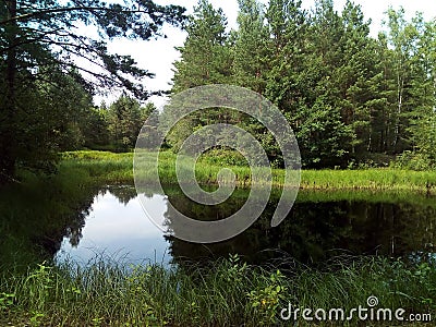 water, lake, landscape, nature, river, sky, reflection, tree, forest, summer Stock Photo