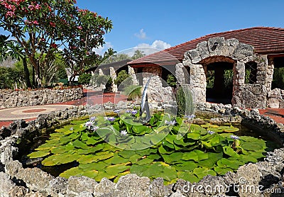 Water lilies at Pinecrest Gardens Stock Photo