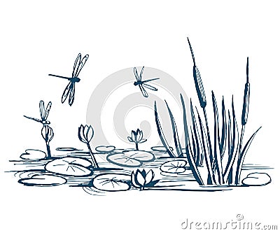 Water lily and reeds on the pond Vector Illustration