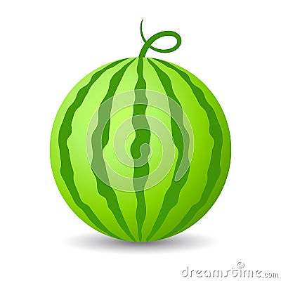 Water melon vector icon Vector Illustration