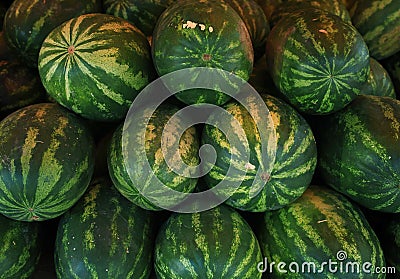 Water-melone Stock Photo