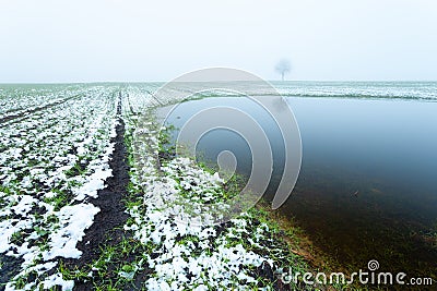 Water after melting snow in a farmland, a tree and a hazy sky Stock Photo