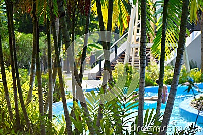 Water place in Park. Water Park in jungle. Park of sea. Place under palm trees. Luxury camping in tropics. seaside resort. Editorial Stock Photo