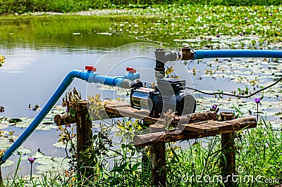 Water pump supply garden farm strawberries berries in field Stock Photo