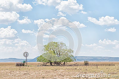 Water-pumping windmill, dam, kraal and willow tree Stock Photo