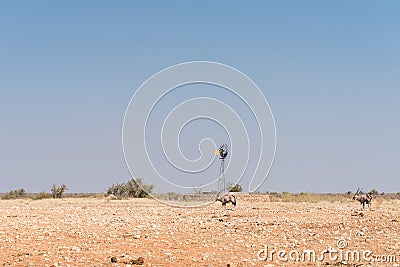 Water-pumping windmill with oryx in front Stock Photo