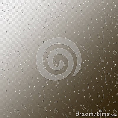 Water rain drops Vector Illustration