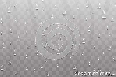 Water rain drops or steam shower isolated on transparent background. Drops of water, falls dew. Realistic pure water Vector Illustration