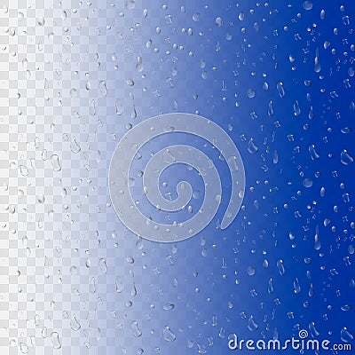 Water rain drops on transparent background. Realistic vector illustration. 3D bubbles on window glass surface Vector Illustration