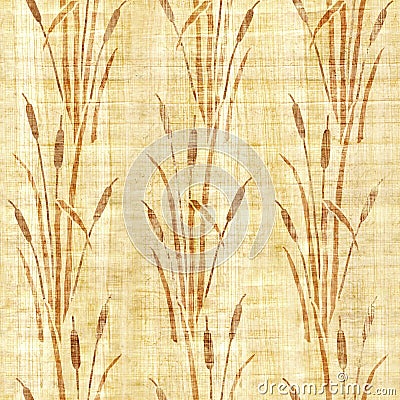 Water Reed Plant - Swamp cane grass - Pattern of the decorative background - Interior wallpaper - papyrus texture Stock Photo