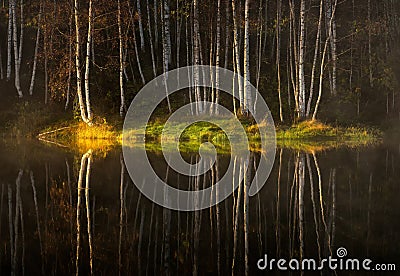 Water reflections of autumn birch Stock Photo