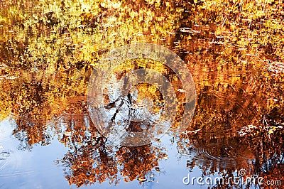 Water with reflections of autumn trees Stock Photo