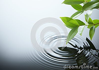 Water ripple and leaf Stock Photo