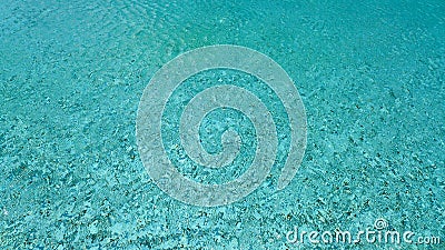 Water ripple pattern in pool Stock Photo