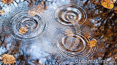 Water Ripples in Pond with Droplets Creating Circular Patterns on Surface Stock Photo