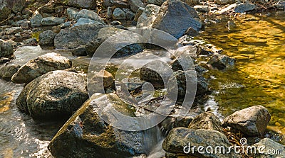 Water running over Rocks in the Jungle Stock Photo
