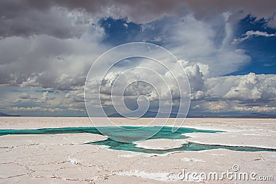 Water in salt desert of Salinas Grandes Stock Photo