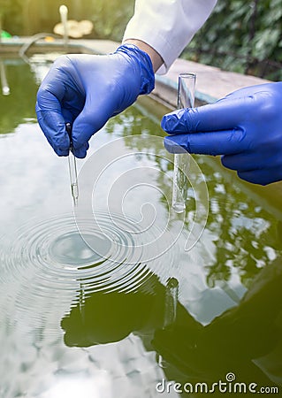 Water sample. Bacterial control of pool water. Checking the amount of algae, harmful substances and chemicals. Laboratory study of Stock Photo
