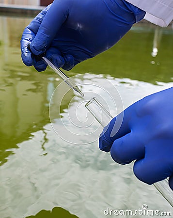 Water sample. Bacterial control of pool water. Checking the amount of algae, harmful substances and chemicals. Laboratory study of Stock Photo