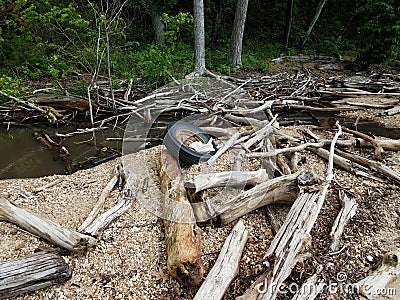 Water and sand and rocks and logs with a discarded tire Stock Photo