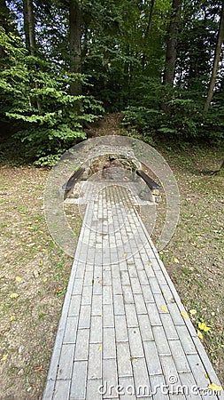 Water source in the forest brought footpath Stock Photo