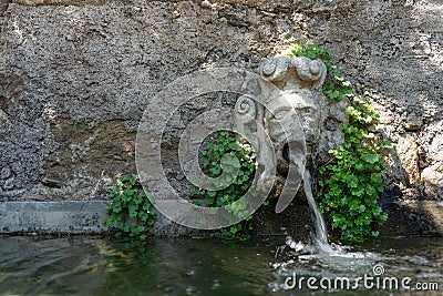 water source with a human figure head expelling water looking like he is vomiting. Stock Photo