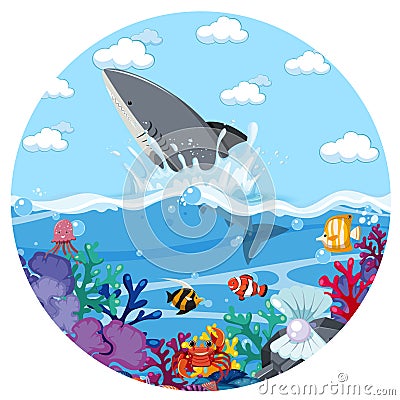 A water splash scene with shark on white background Vector Illustration