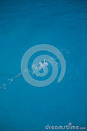 Water splash in swimming pool on blue background Stock Photo