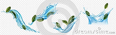 Water splashes with menthol or mint leaves set Vector Illustration