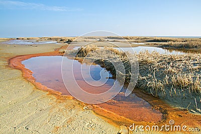 Water spring in the dunes Stock Photo