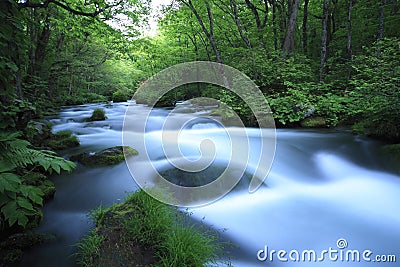 Water spring in forest Stock Photo