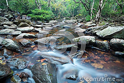 Water spring in jungle Stock Photo