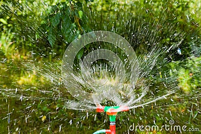 Water sprinkler Stock Photo