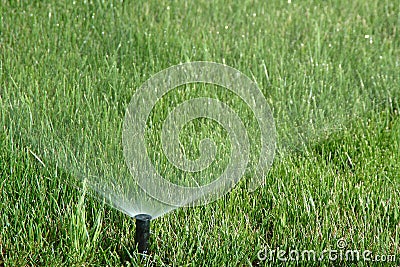 Water sprinkler showering grass Stock Photo