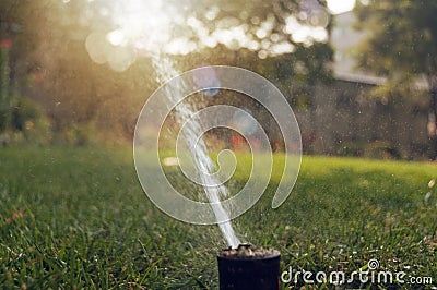 Water sprinkler spraying water on a green lawn Stock Photo