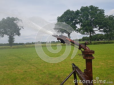 Water sprinkler timed perfect Stock Photo