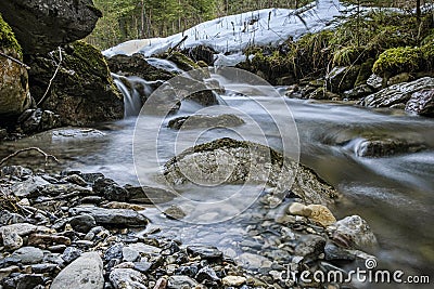 Water stream, Ilanovska valley, Low Tatras, Slovakia Stock Photo