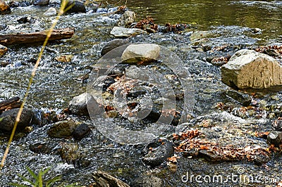 Water of the stream between the stones Stock Photo