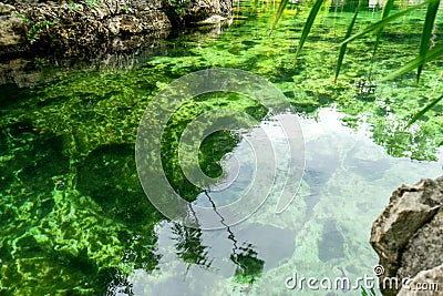 Water surface in cenote Stock Photo
