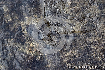 Water surface with ripples. Windy weather. Background or texture Stock Photo